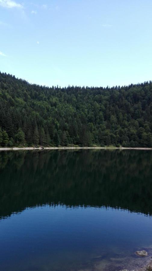 La Bressaude - Vacances-En-Vosges - Menage Compris La Bresse Ngoại thất bức ảnh