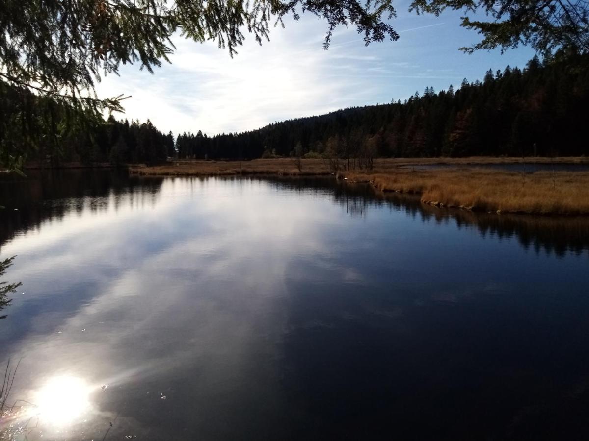 La Bressaude - Vacances-En-Vosges - Menage Compris La Bresse Ngoại thất bức ảnh
