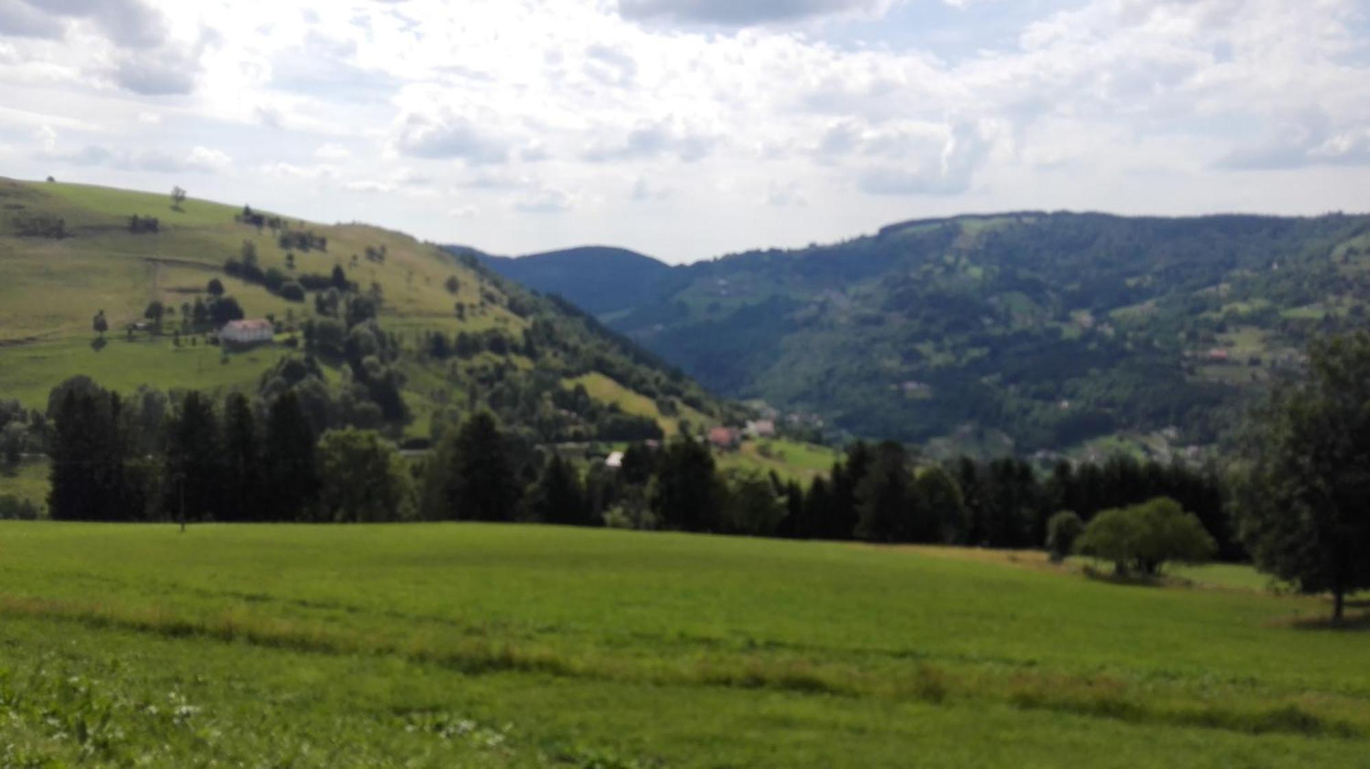 La Bressaude - Vacances-En-Vosges - Menage Compris La Bresse Ngoại thất bức ảnh