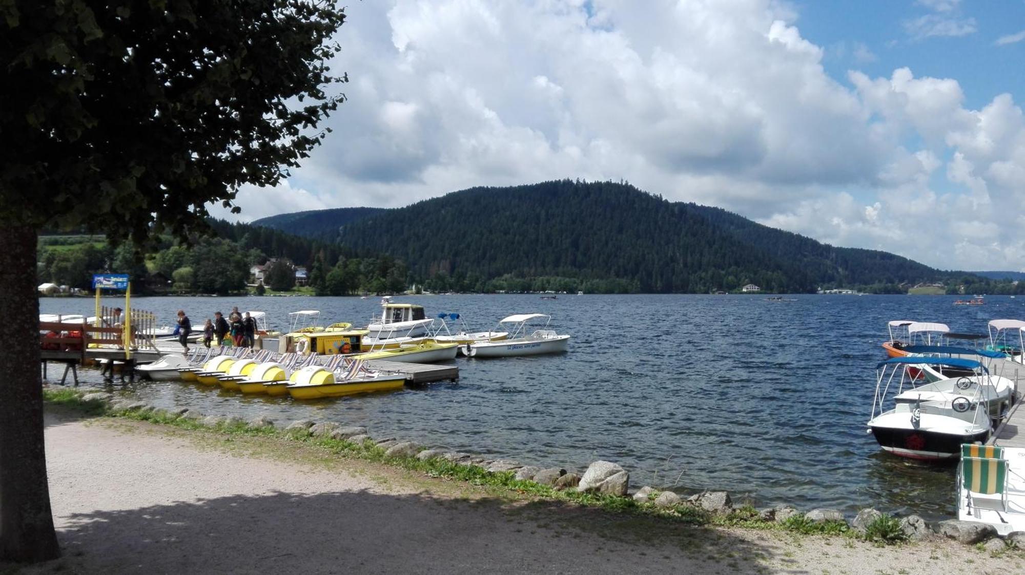 La Bressaude - Vacances-En-Vosges - Menage Compris La Bresse Ngoại thất bức ảnh