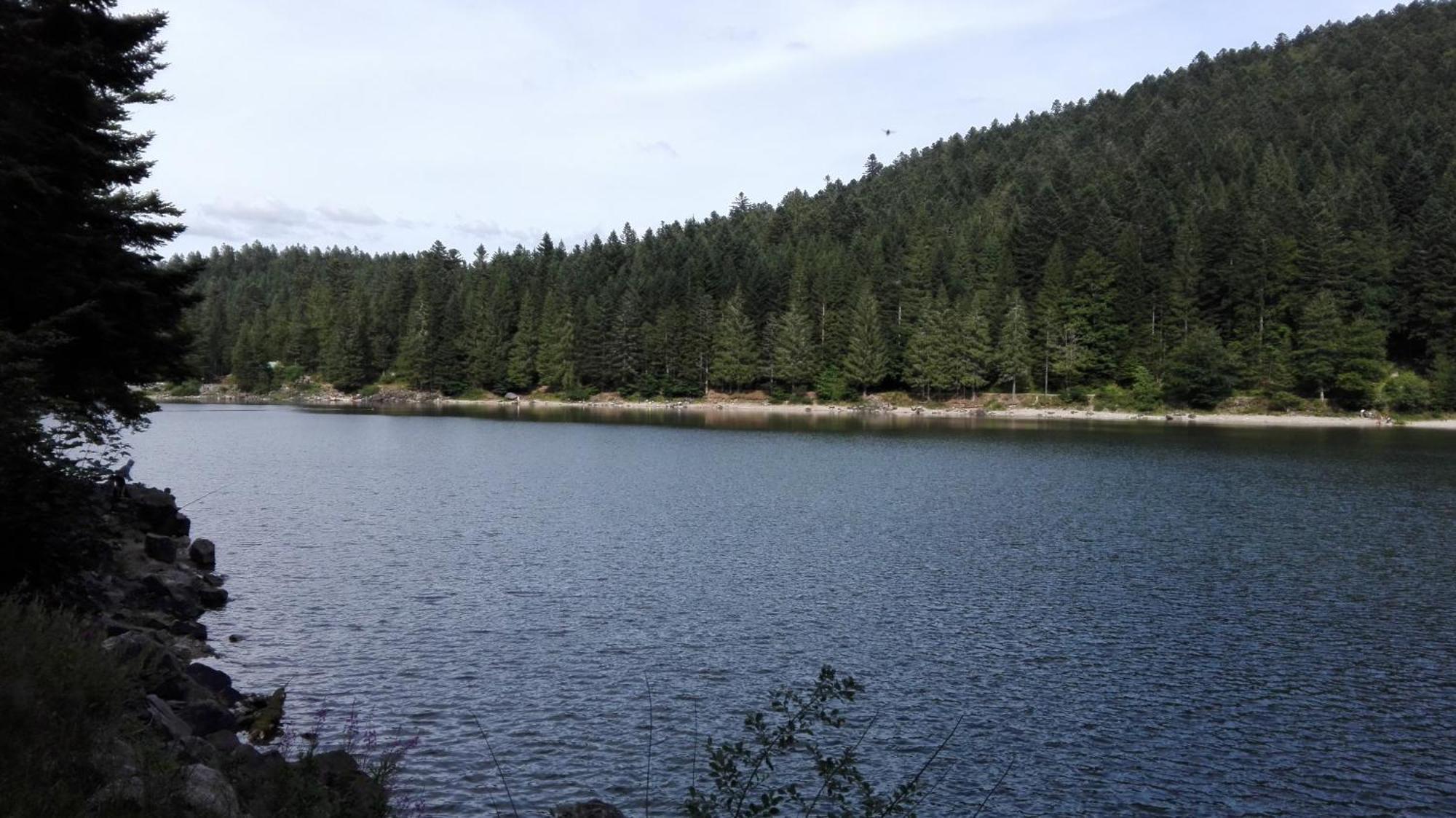 La Bressaude - Vacances-En-Vosges - Menage Compris La Bresse Ngoại thất bức ảnh
