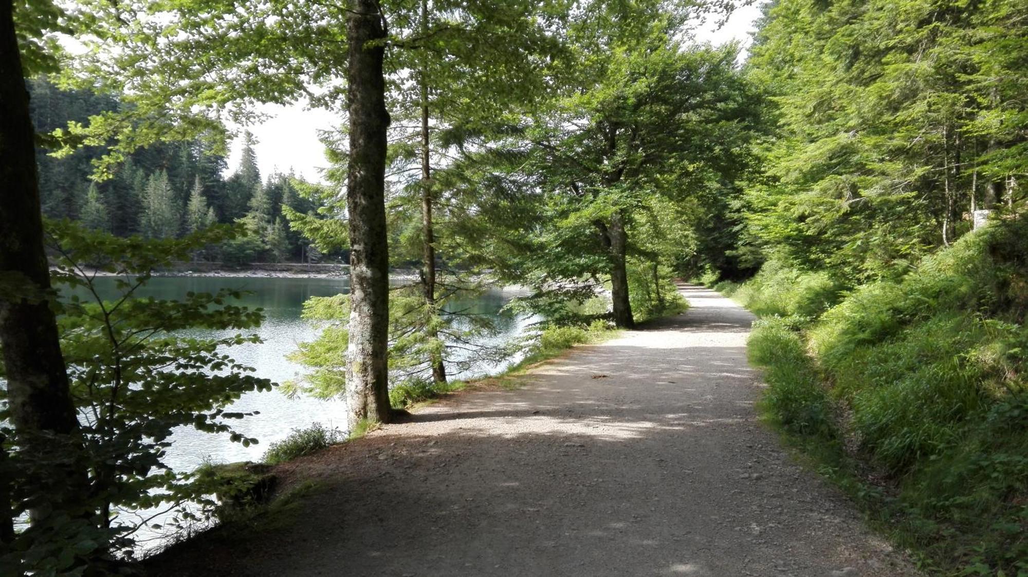 La Bressaude - Vacances-En-Vosges - Menage Compris La Bresse Ngoại thất bức ảnh