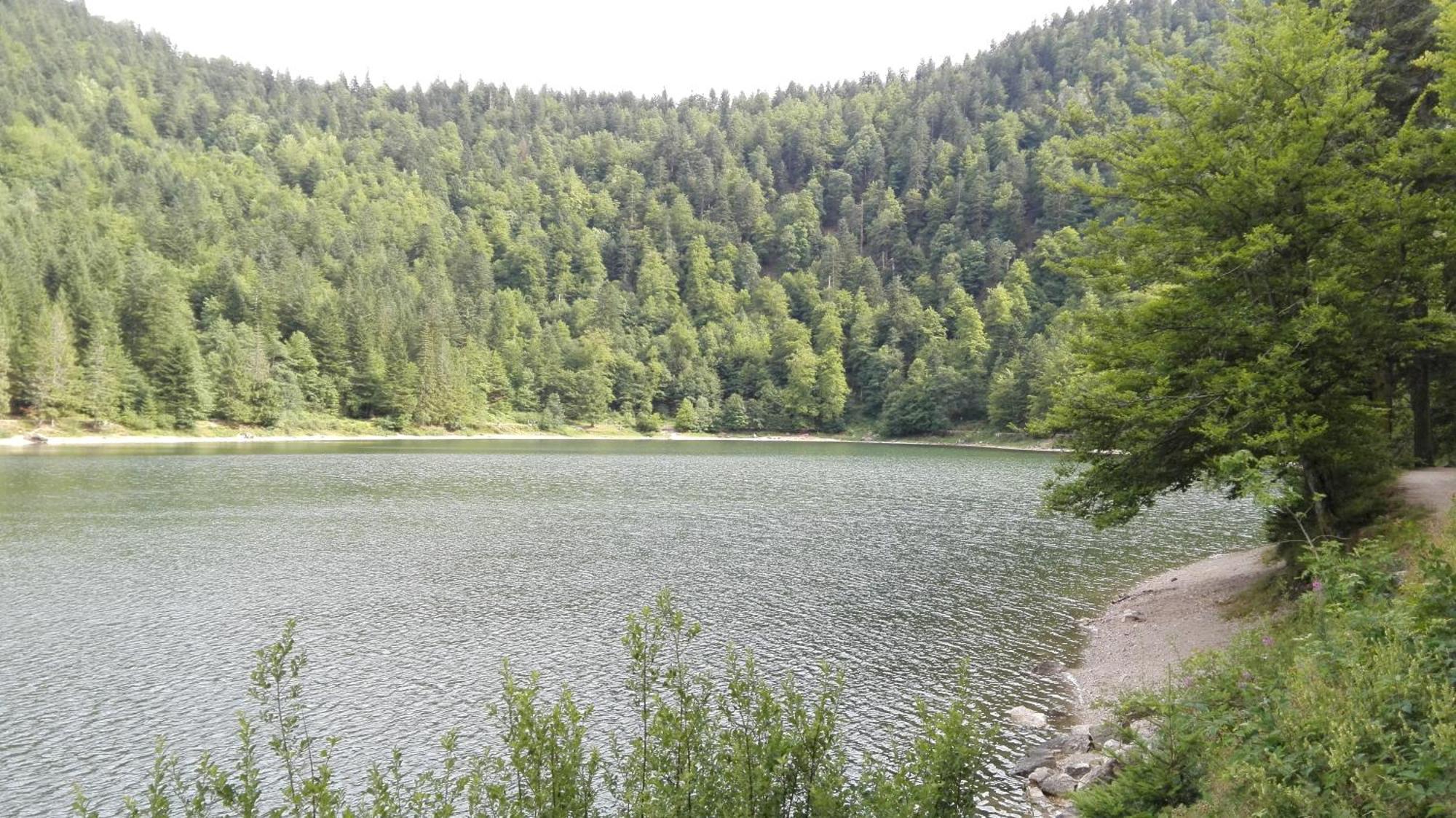 La Bressaude - Vacances-En-Vosges - Menage Compris La Bresse Ngoại thất bức ảnh