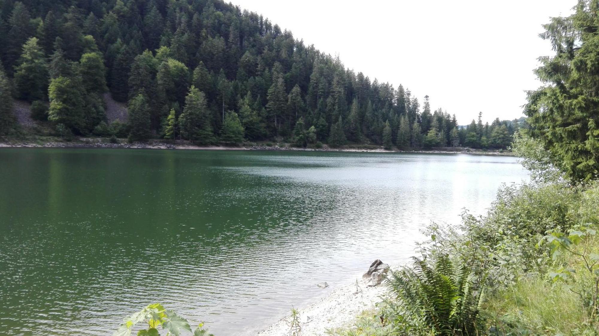 La Bressaude - Vacances-En-Vosges - Menage Compris La Bresse Ngoại thất bức ảnh