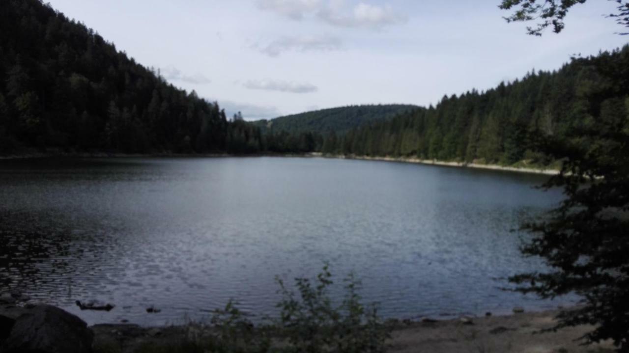 La Bressaude - Vacances-En-Vosges - Menage Compris La Bresse Ngoại thất bức ảnh